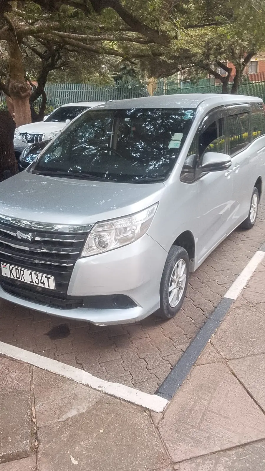 Silver executive multi-purpose vehicle photographed from the front